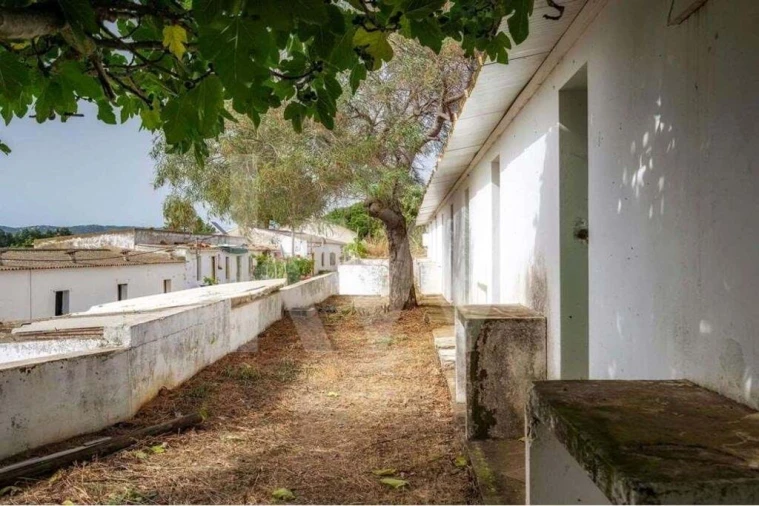 Terreno para Venda em Pechão Foto 14