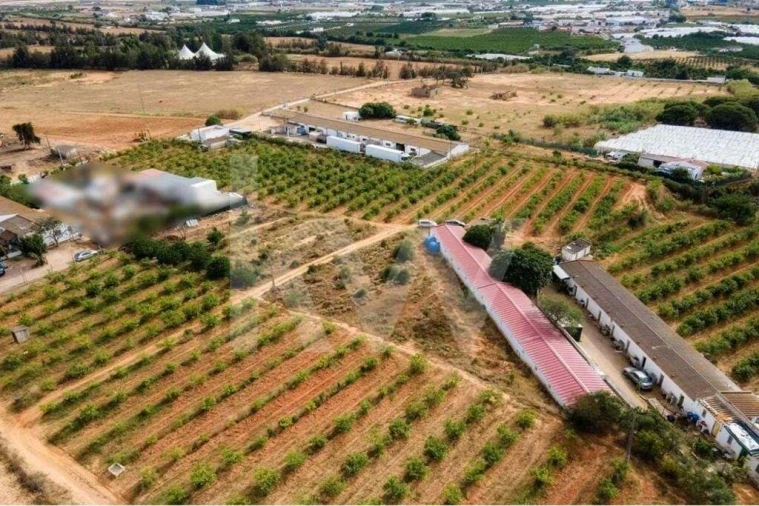 Terreno para Venda em Pechão Foto 20