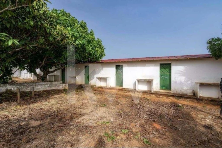 Terreno para Venda em Pechão Foto 2