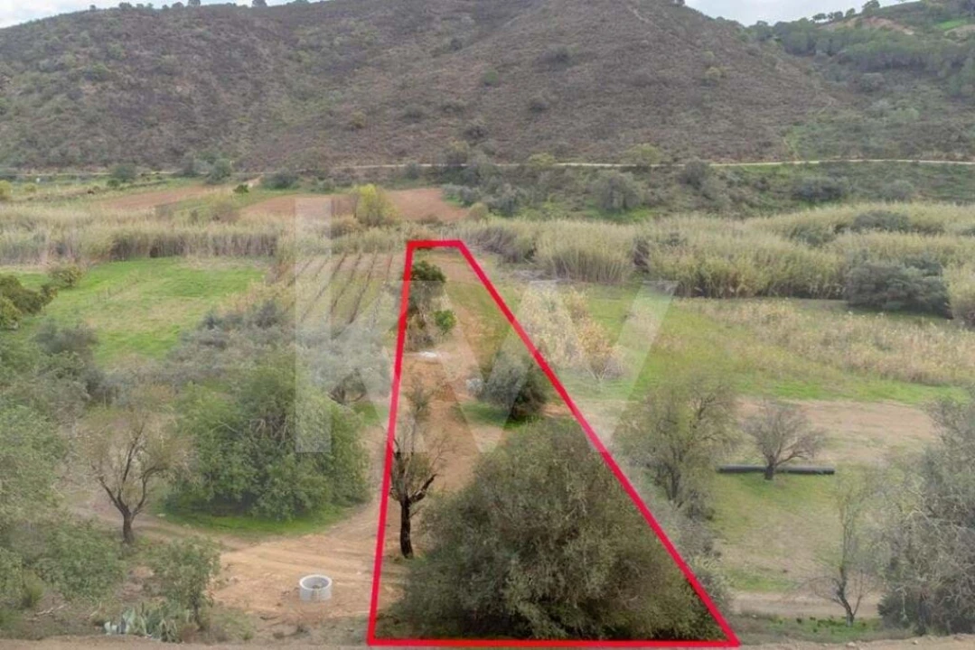 Terreno para Venda em Odeleite Foto 2