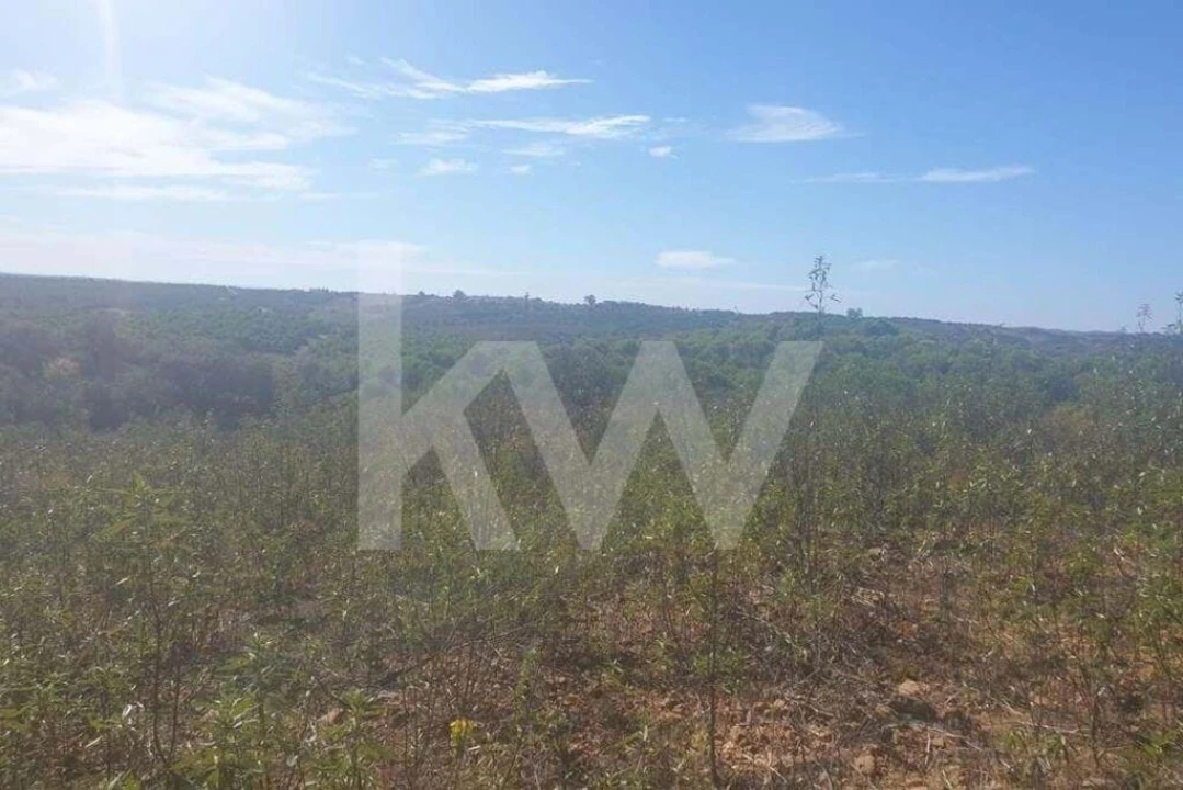 Terreno para Venda em Azinhal Foto 5