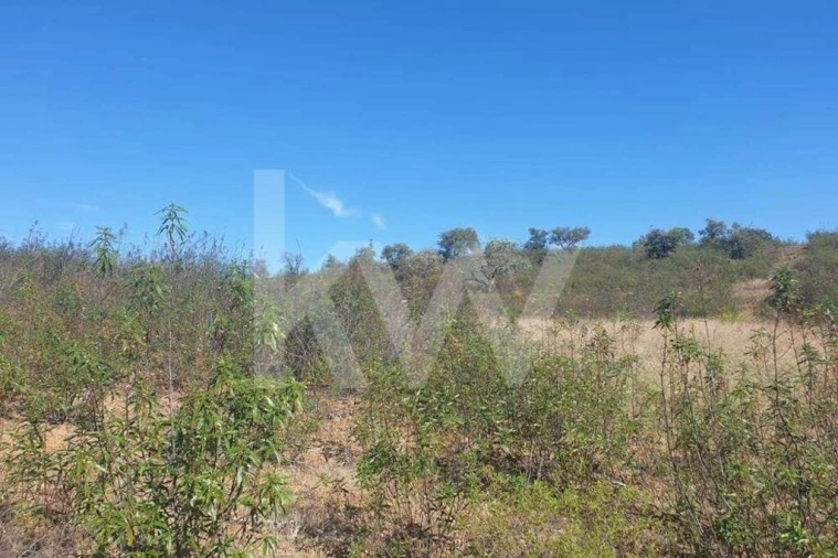 Terreno para Venda em Azinhal Foto 7