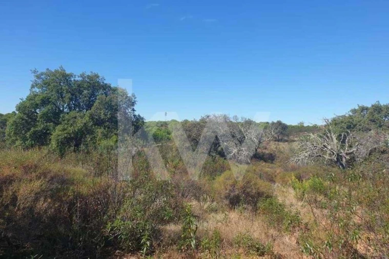 Terreno para Venda em Azinhal Foto 8