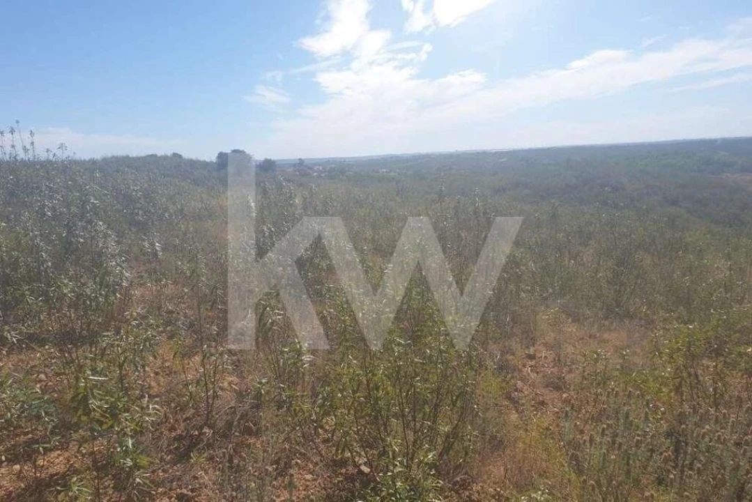 Terreno para Venda em Azinhal Foto 1