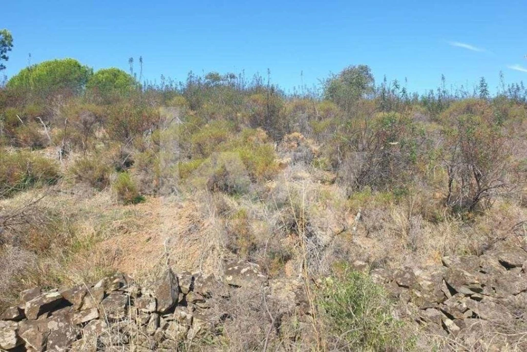 Terreno para Venda em Azinhal Foto 3