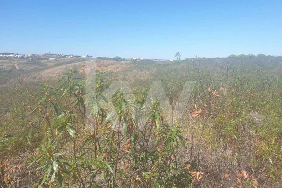 Terreno para Venda em Azinhal Foto 4