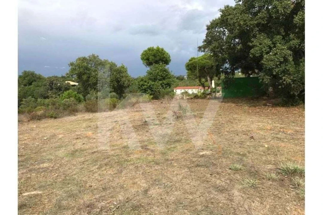 Terreno para Venda em Almancil Foto 3