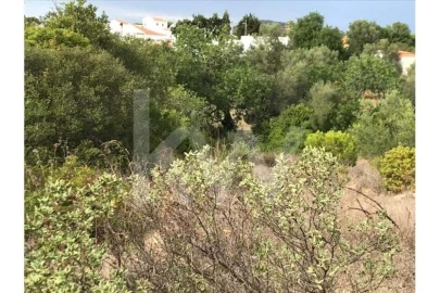 Terreno para Venda em Almancil