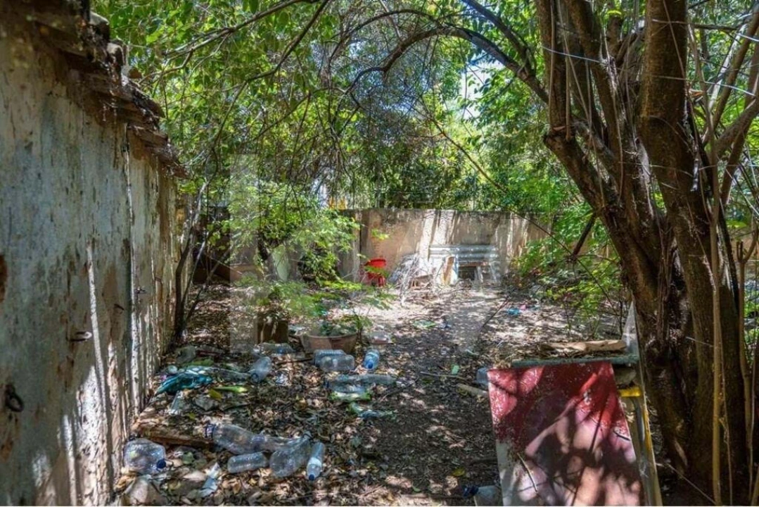 Prédio para Venda em Loule (São Clemente) Foto 14