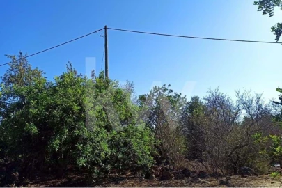 Moradia T5 para Venda em Paderne