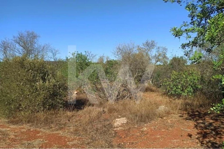 Moradia T5 para Venda em Paderne Foto 11