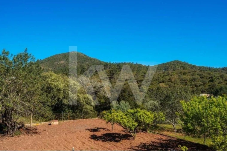 Moradia T2 para Venda em Loule (São Clemente) Foto 33