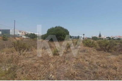 Terreno para Venda em Montenegro