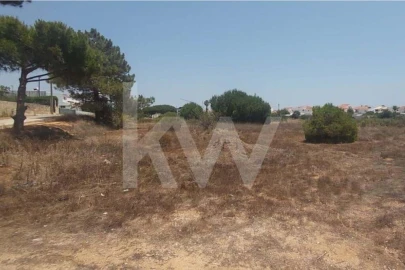 Terreno para Venda em Montenegro