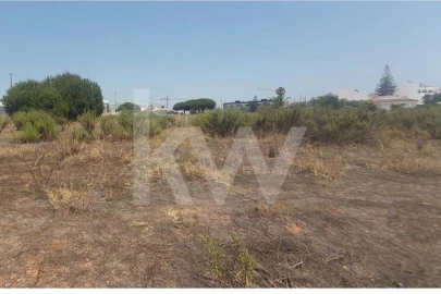 Terreno para Venda em Montenegro