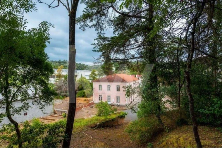 Armazém para Venda em Além da Ribeira e Pedreira Foto 61