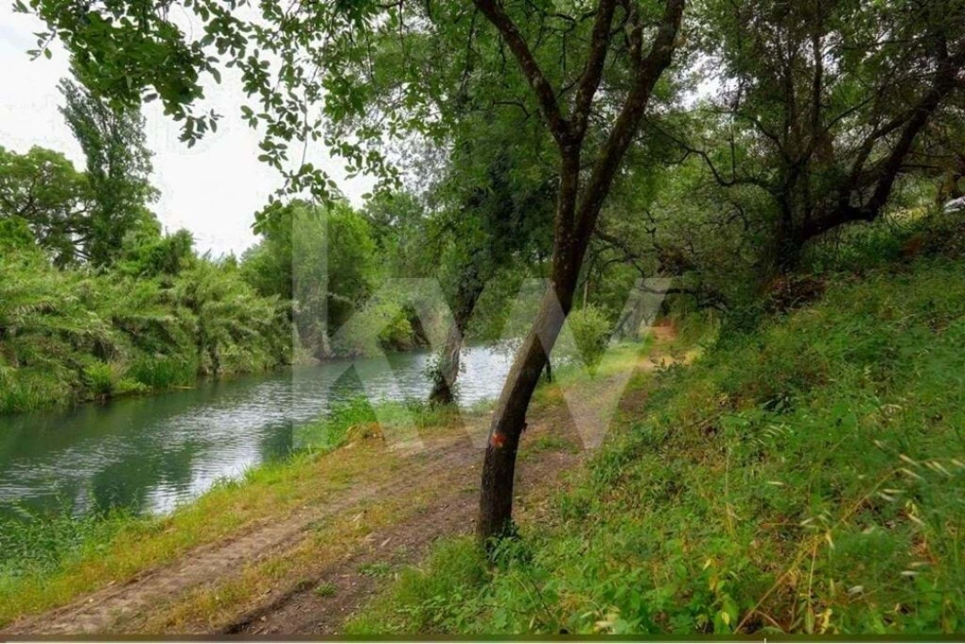 Armazém para Venda em Além da Ribeira e Pedreira Foto 52