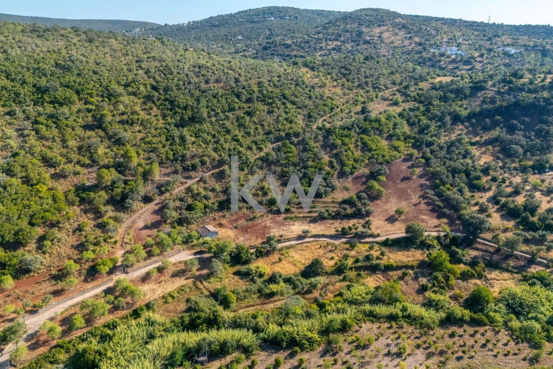 Moradia T2 para Venda em Loule (São Clemente) Foto 10