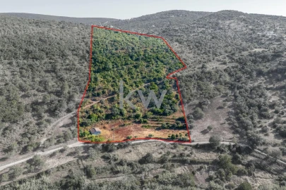 Moradia T2 para Venda em Loule (São Clemente)
