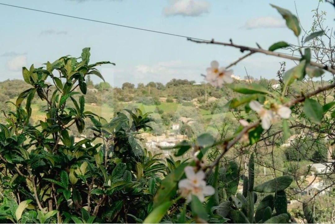 Moradia T3 para Venda em Cachopo Foto 13