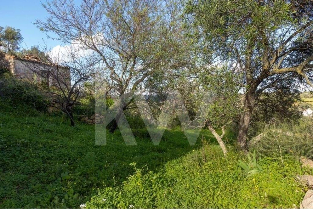 Moradia T3 para Venda em Cachopo Foto 24