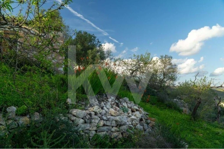 Moradia T3 para Venda em Cachopo Foto 14