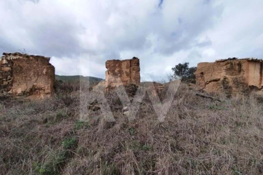 Terreno para Venda em Saboia Foto 9