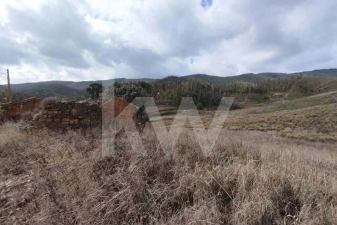 Terreno para Venda em Saboia Foto 8