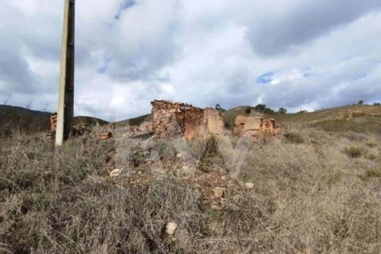 Terreno para Venda em Saboia Foto 10
