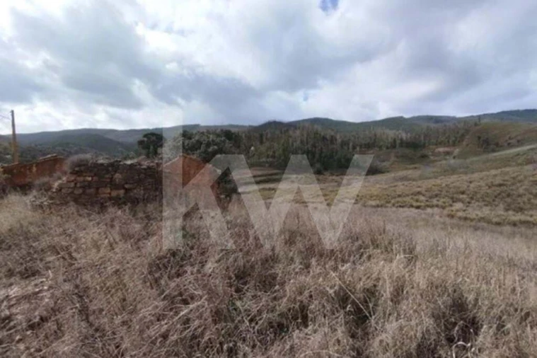 Terreno para Venda em Saboia Foto 8