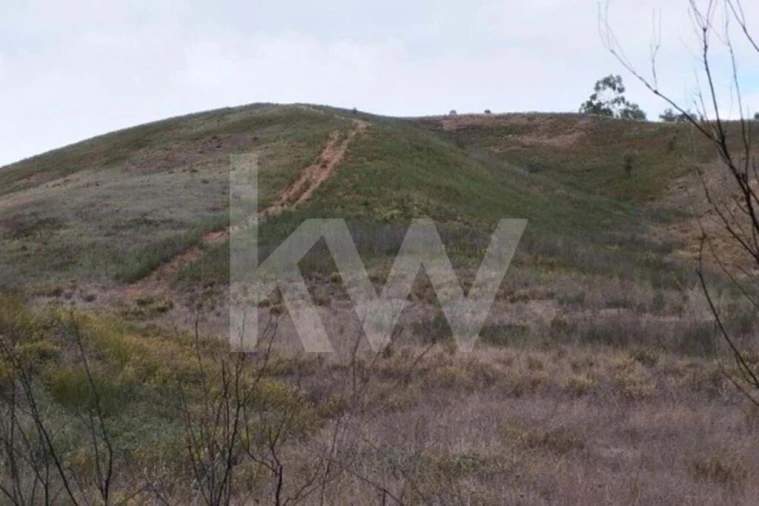 Terreno para Venda em Saboia Foto 4