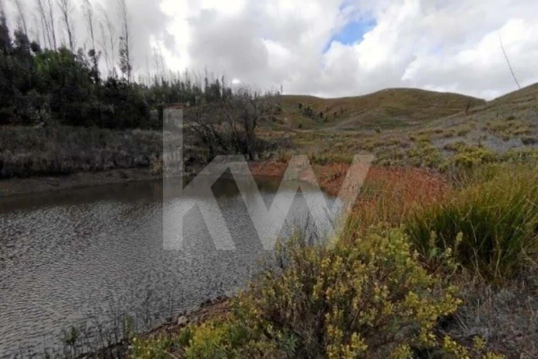 Terreno para Venda em Saboia Foto 1