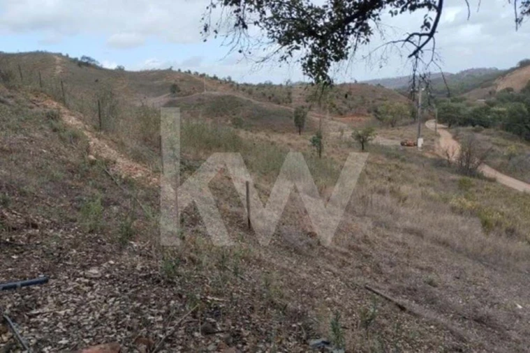 Terreno para Venda em Saboia Foto 7