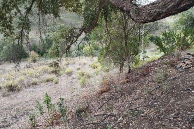 Terreno para Venda em Saboia Foto 6