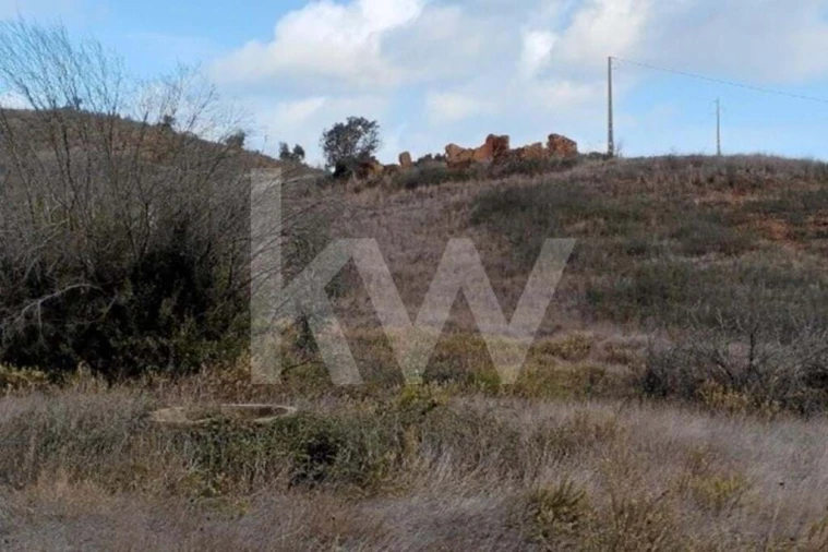 Terreno para Venda em Saboia Foto 5