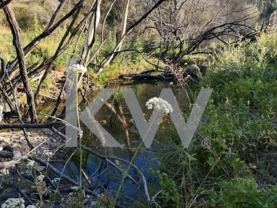 Terreno para Venda em São Teotónio Foto 10