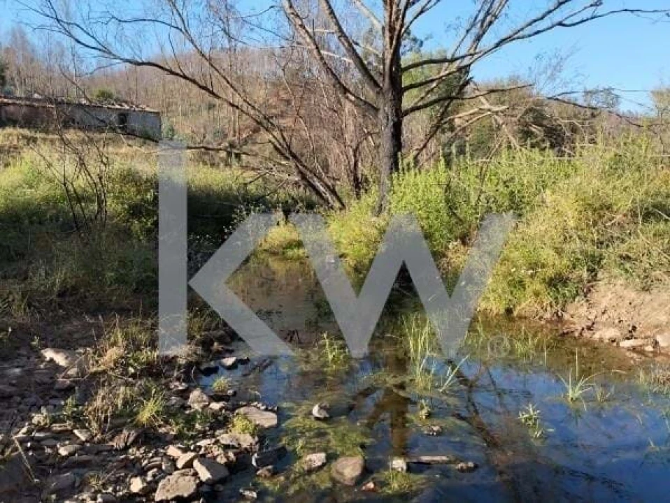 Terreno para Venda em São Teotónio Foto 8