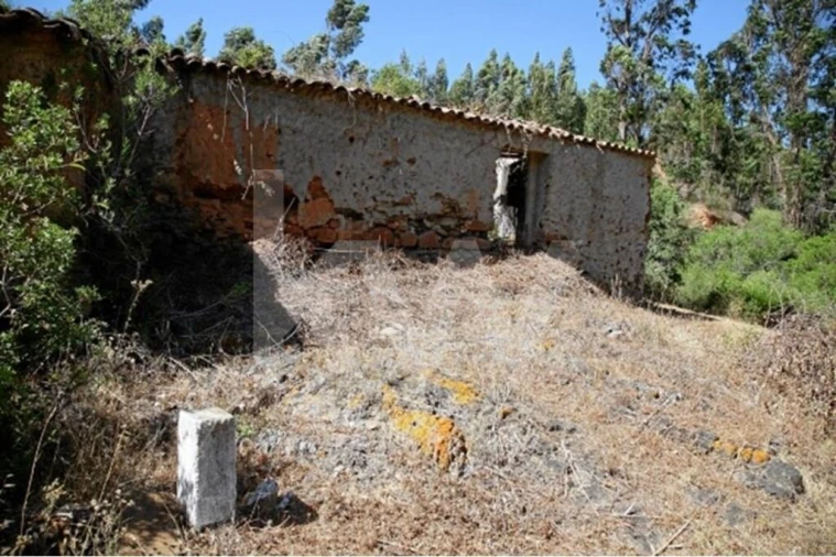 Terreno para Venda em São Teotónio Foto 1