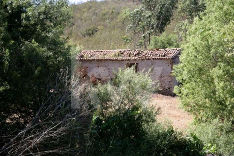 Terreno para Venda em São Teotónio Foto 2
