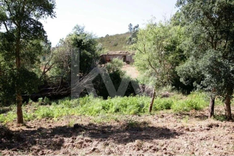 Terreno para Venda em São Teotónio Foto 3