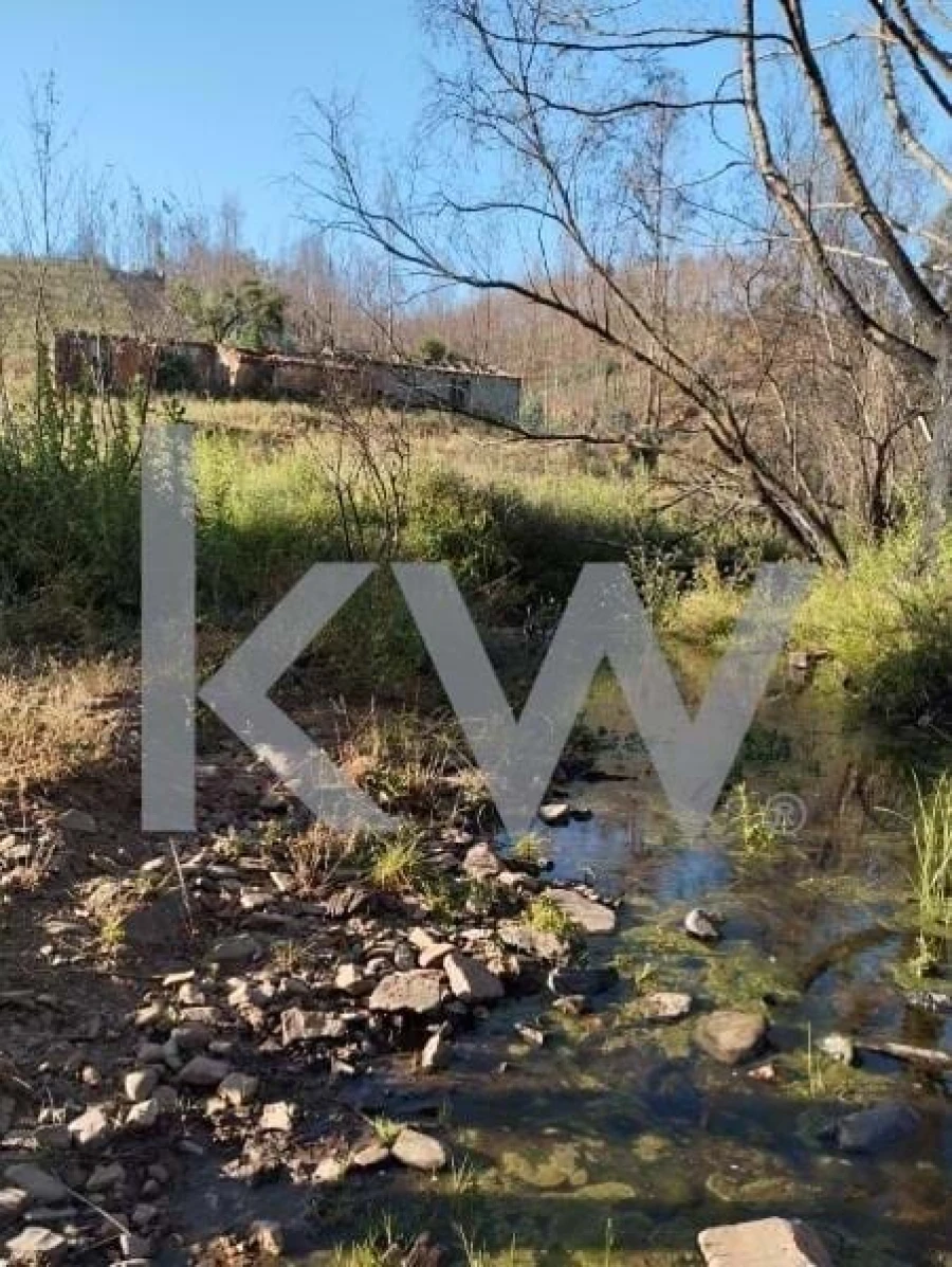 Terreno para Venda em São Teotónio Foto 9