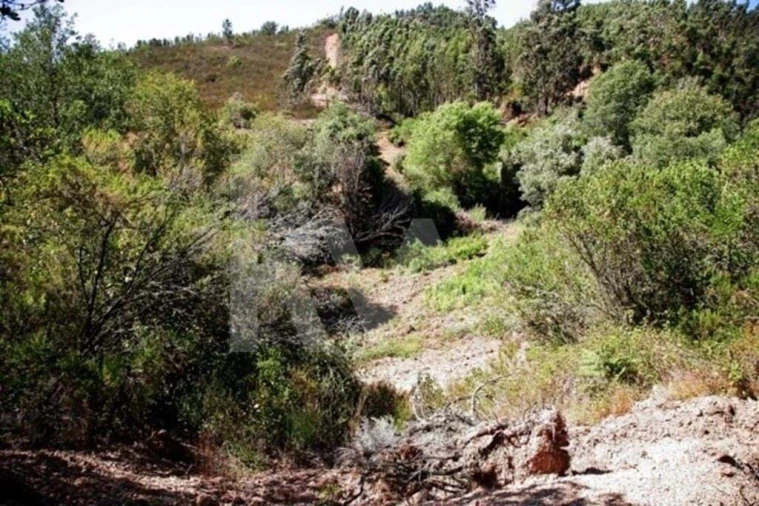 Terreno para Venda em São Teotónio Foto 6