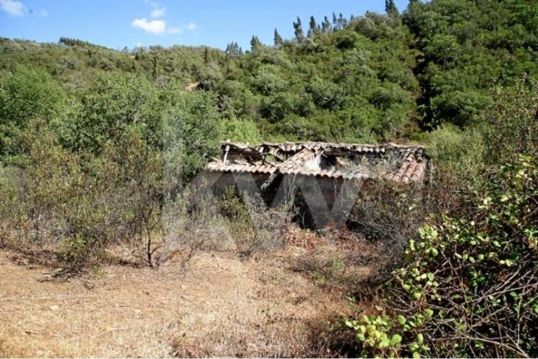 Terreno para Venda em São Teotónio Foto 5
