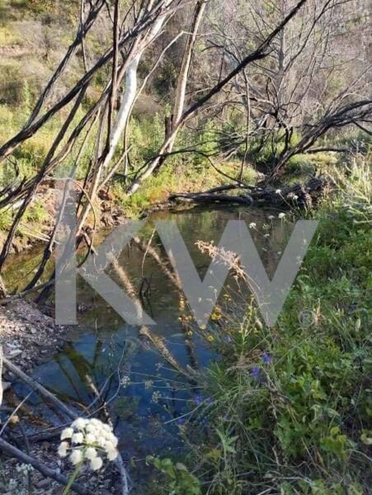 Terreno para Venda em São Teotónio Foto 7