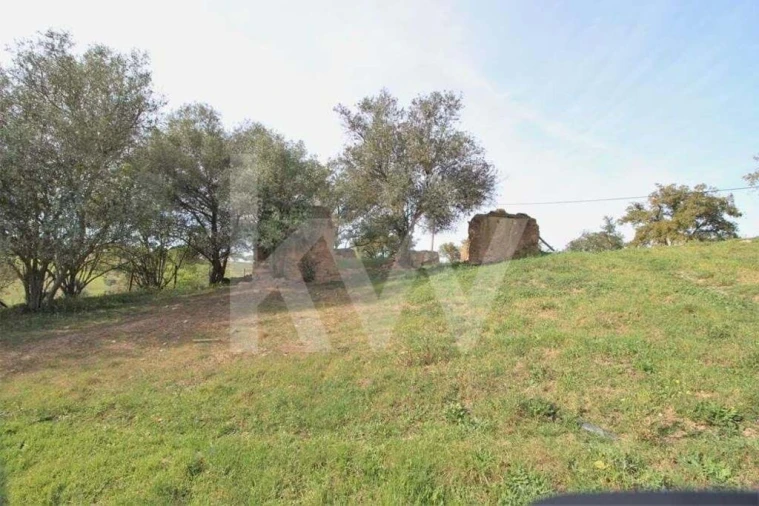 Terreno para Venda em Ourique Foto 3