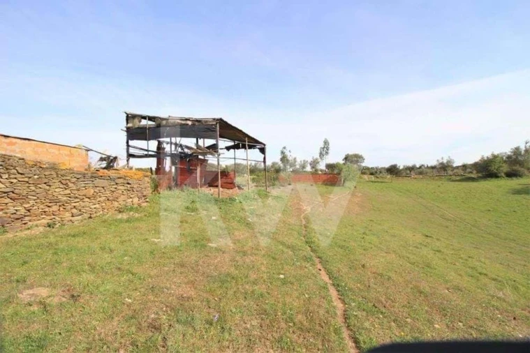 Terreno para Venda em Ourique Foto 12