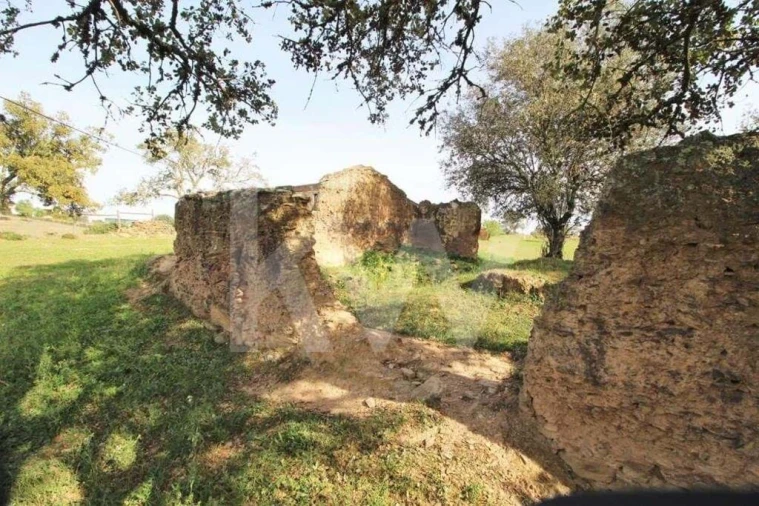 Terreno para Venda em Ourique Foto 2