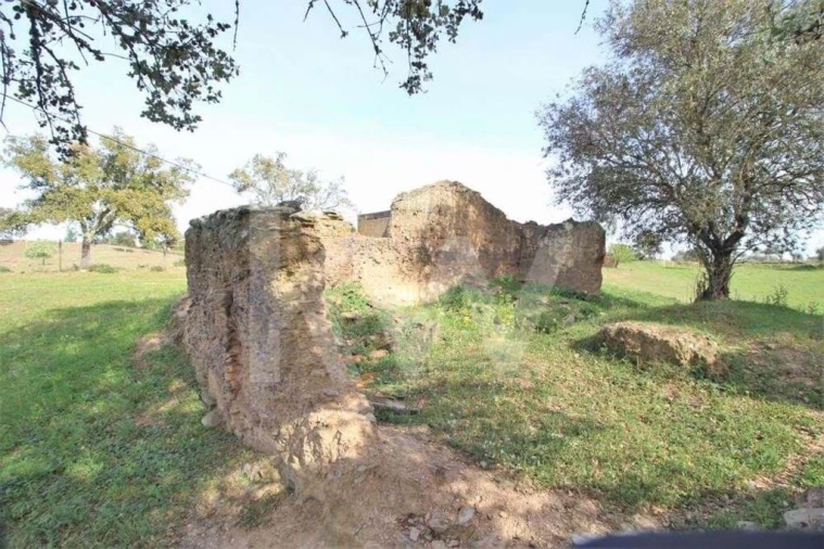 Terreno para Venda em Ourique Foto 11