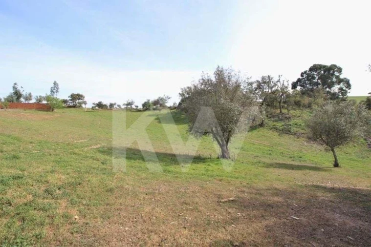 Terreno para Venda em Ourique Foto 5