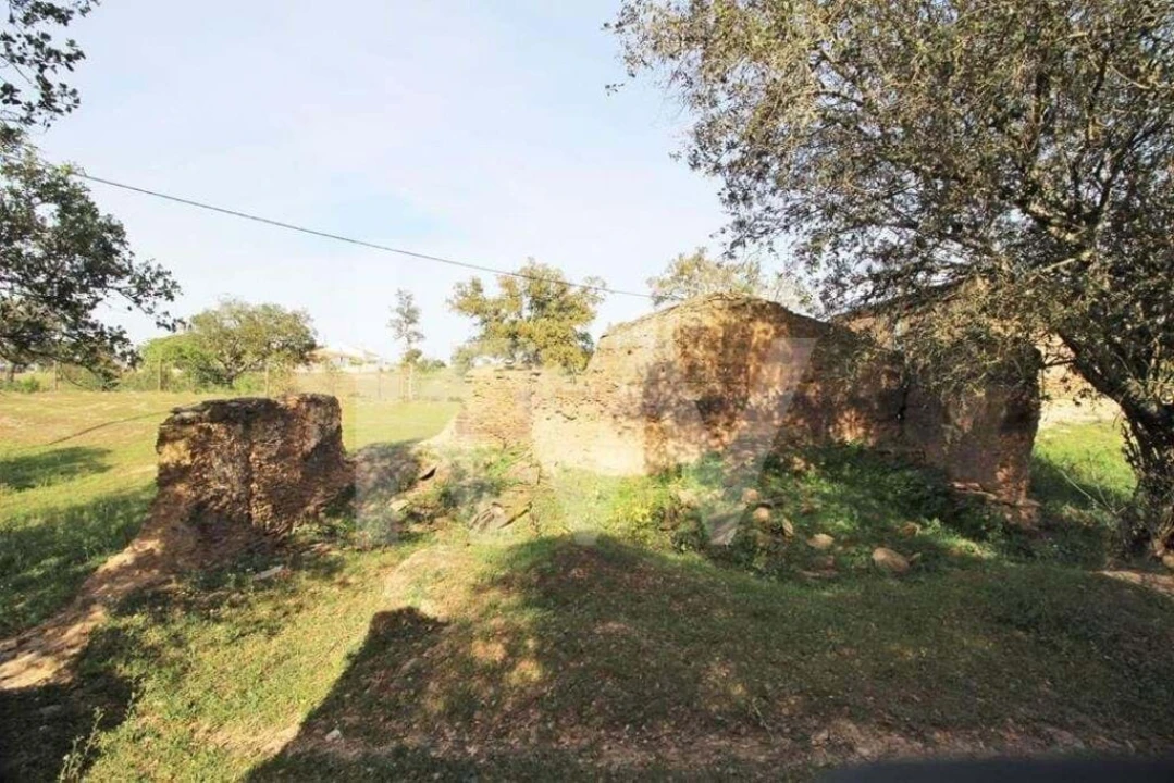 Terreno para Venda em Ourique Foto 16